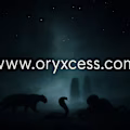 Xyro avatar