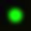 Noname avatar
