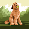 Jimmy avatar