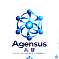 york avatar