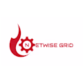 Netwise avatar