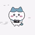 Jiahui avatar