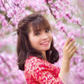 Nguyen avatar