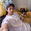 Afonso avatar