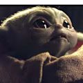 Moussa avatar