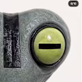 Radias avatar