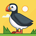 Medhashis avatar