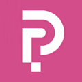 PerceptionX logo