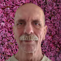 Curtis avatar