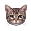 Mohamed avatar
