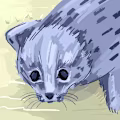 Luke Daniel avatar