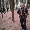 Yodi avatar