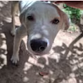 Edgar avatar