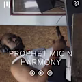 Prophet avatar