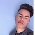 The avatar