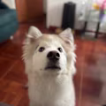 Kevyn avatar