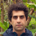 Pedro avatar
