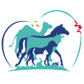 Ghina avatar