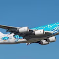 xevoy avatar