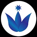 Khaoula avatar