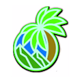 Wordpress avatar