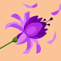Bhoomi avatar