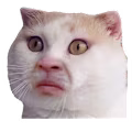 Hanna avatar