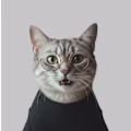 Milan avatar