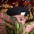 Salsi avatar