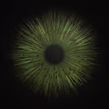 EYE avatar