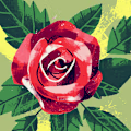 Rahat avatar