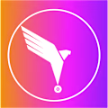 Hawk avatar