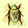 Rohit avatar