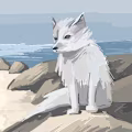 Ibrahim avatar