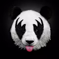 Stack avatar