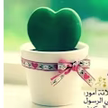 Amal avatar