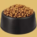 Dogfooding Test Company logo