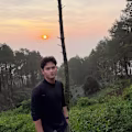 Ariel avatar