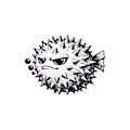 Shrink Studio logo