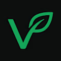 Virdis logo