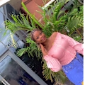 Emmanuella  avatar