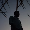SABIR avatar