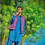 Harry bhai