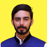 M. Furqan Hameed