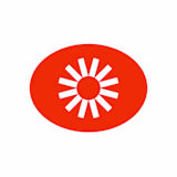 Visual Electric logo