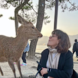 Patricia Gibellato