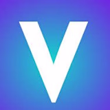 Vectribe Digital Agency logo