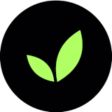 Developios logo
