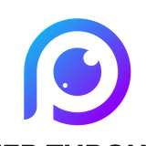 Peer Through Media LLC logo