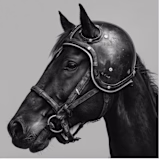 BlackHorseMedia logo